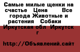 Самые милые щенки на счастье › Цена ­ 1 - Все города Животные и растения » Собаки   . Иркутская обл.,Иркутск г.